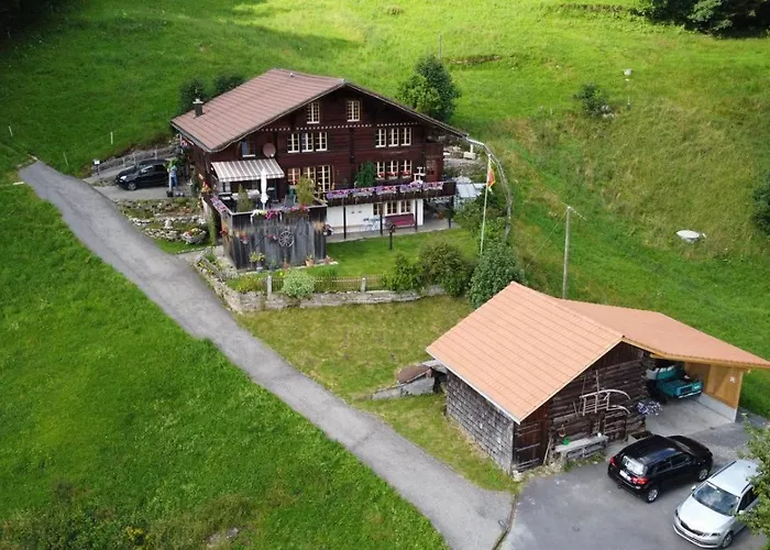 Apartment Birchihaus *